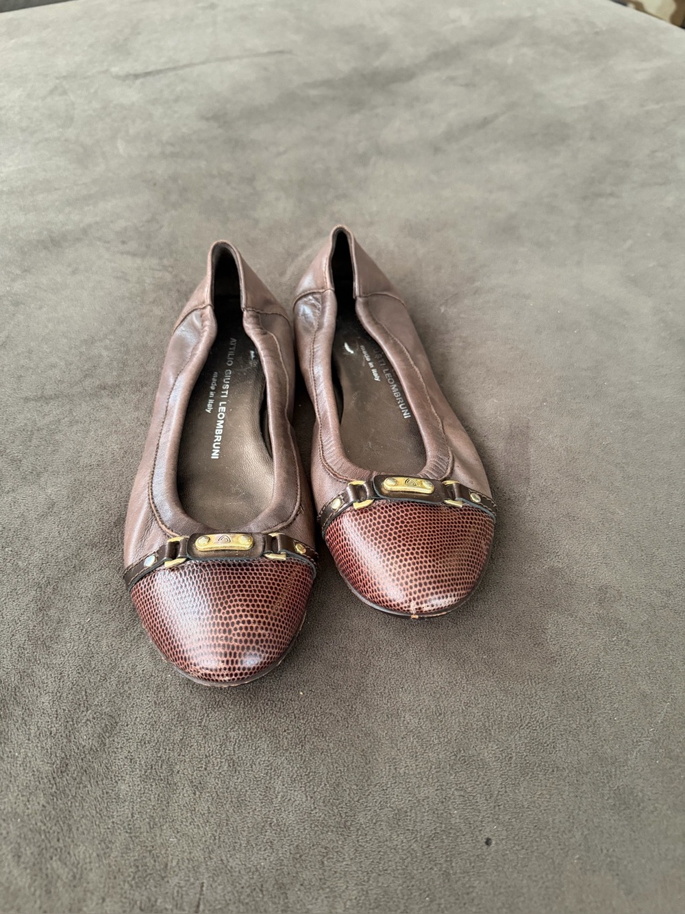 AGL - Brown Leather Ballet Flats with Textured Toe and Gold Accent